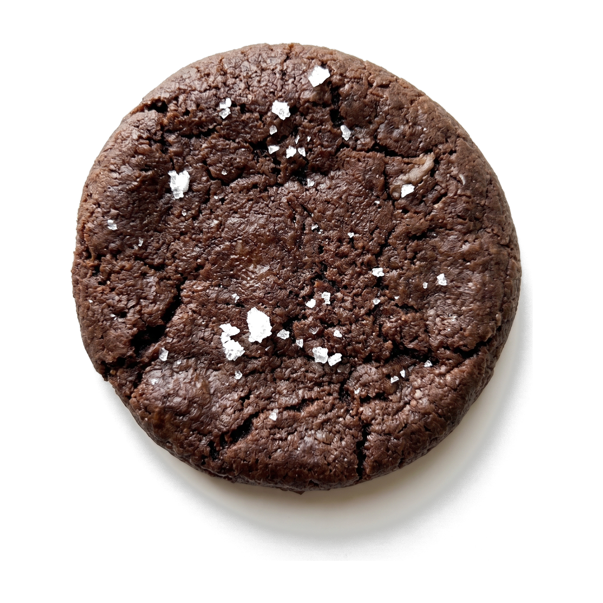 Double Chocolate Chip with Sea Salt