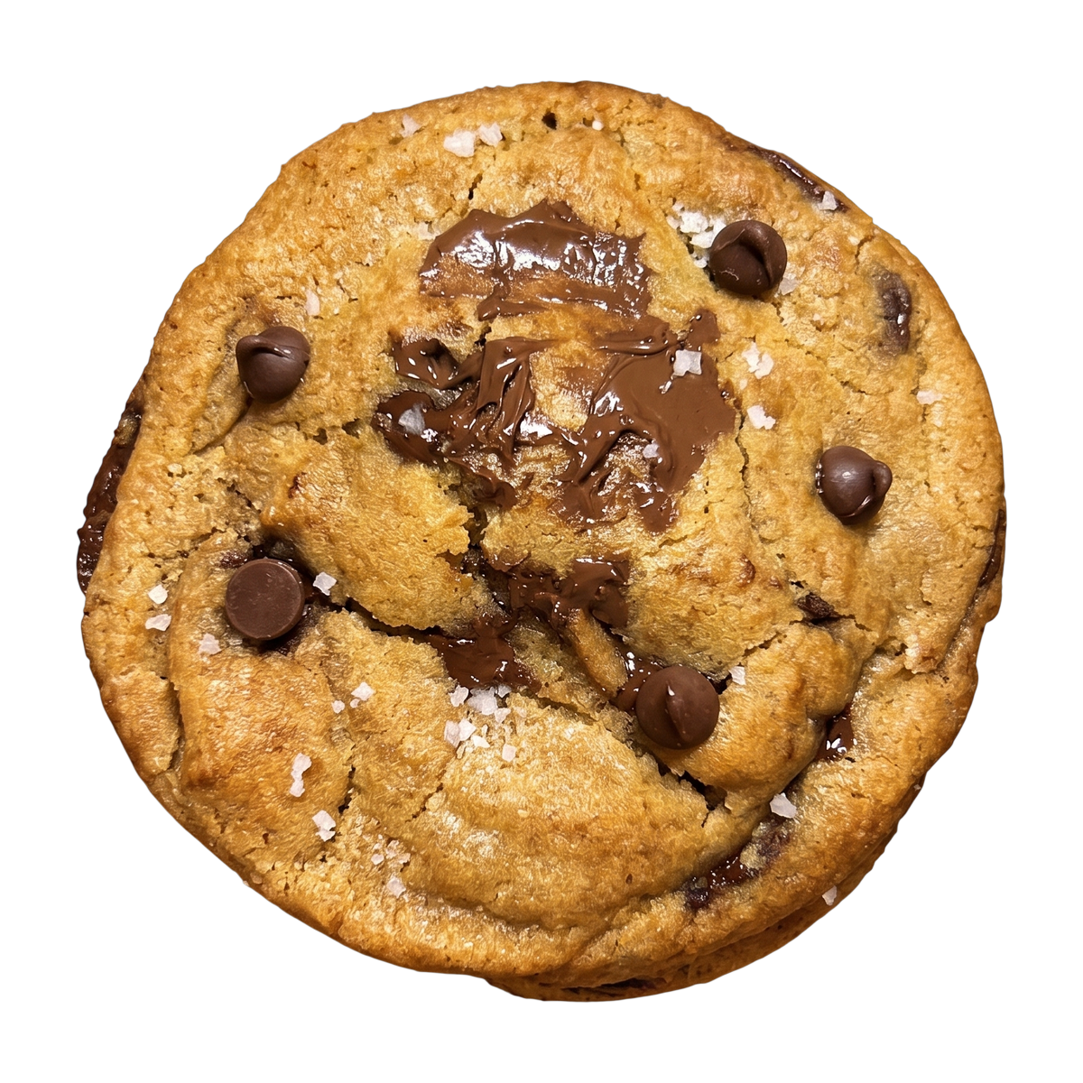 NY-Style Chocolate Chip